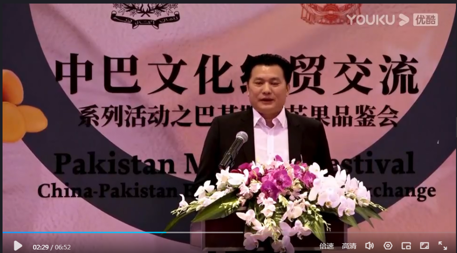 中巴经济文化贸易之芒果节