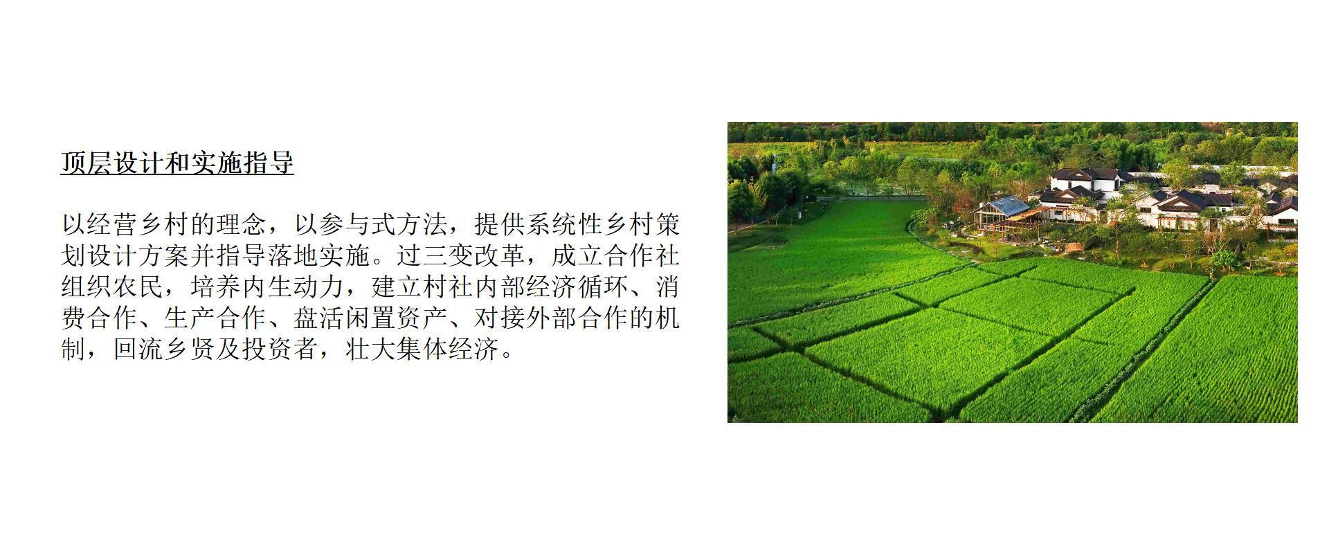 乡村振兴