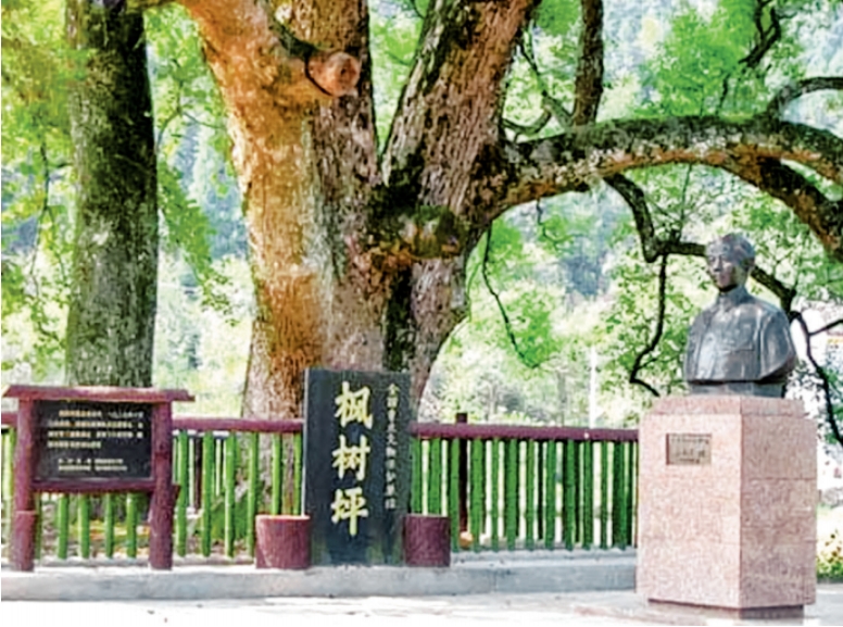 我军为什么要进行三湾改编？