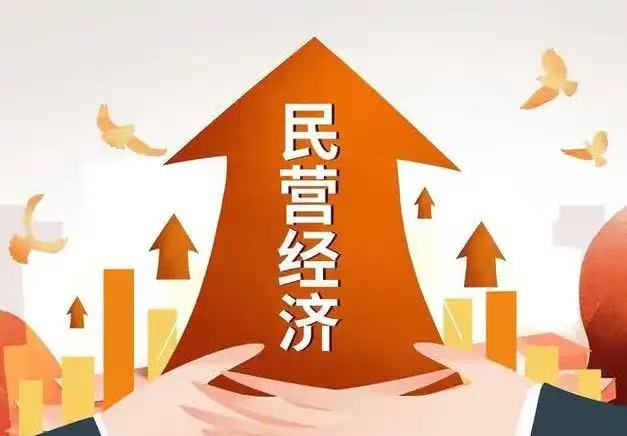 民营经济促进法为民营经济高质量发展保驾护航