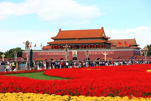 听取全国人大常委会、国务院、全国政协、最高人民法院、最高人民检察院党组工作汇报 听取中央书记处工作报告