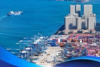 具身智能领跑，低空经济腾飞—— 新华社聚焦广东新质生产力